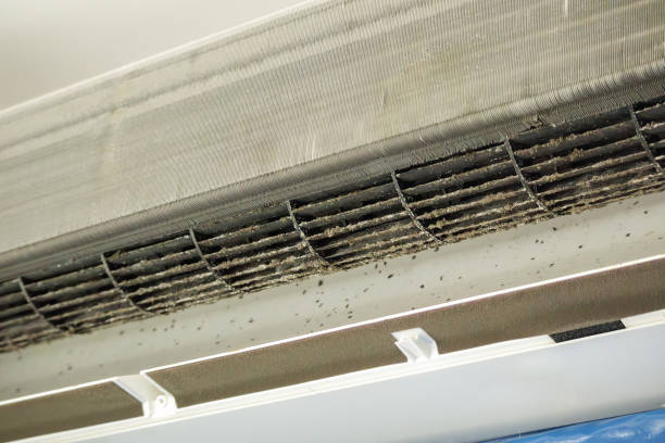 Best Home Air Vent Cleaning  in Arlington Heights, PA